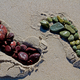 Image for article titled Complementary Colors 1